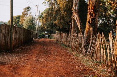 Rural landscape in Africa in Kenya. Rural road with red soil and magic African landscape in the morning