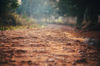 Kenya 'da Kenyalı koşucular ve maraton koşucularının koştuğu sert kırmızı toprak yollar