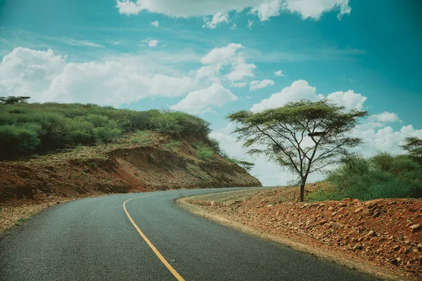 Travel Africa Acacia Tree Rough Road Lined Red Soil — Stockfoto