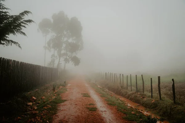 Foggy Morning Africa Red Roads Kenya — Stockfoto