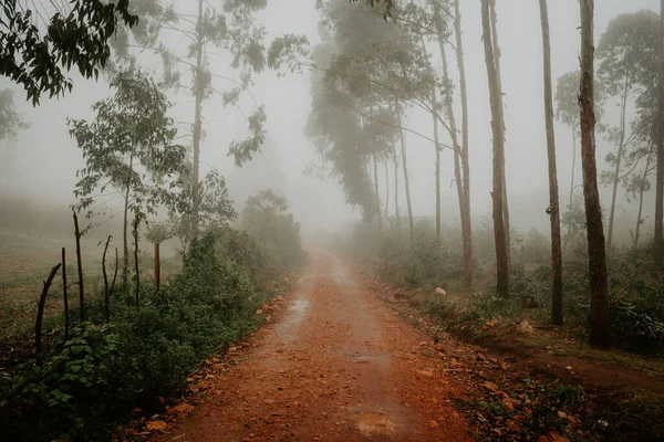 Foggy Morning Africa Red Roads Kenya — Stockfoto