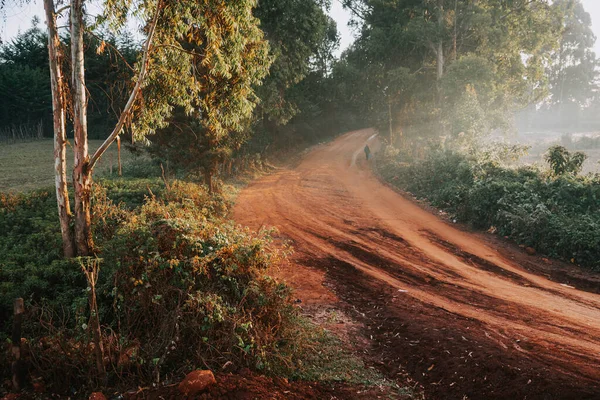 Rural landscape in Africa in Kenya. Rural road with red soil and magic African landscape in the morning