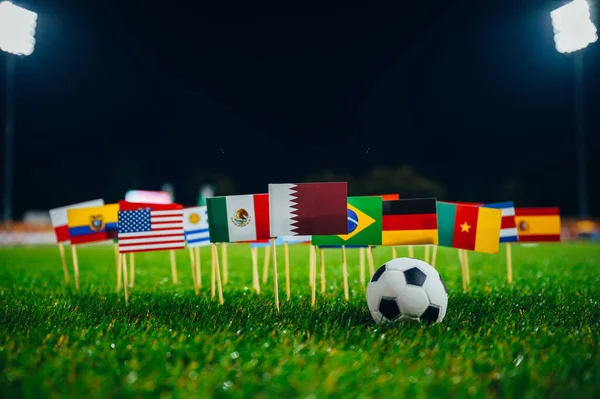 Fußball Und Nationalflaggen Auf Dem Grünen Rasen Einschließlich Katar Und — Stockfoto