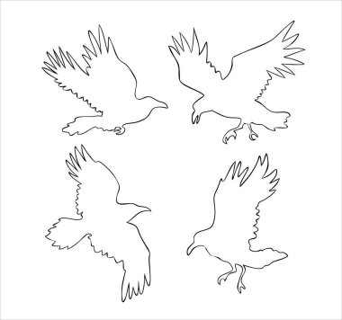 Simgeler için gerçekçi kuzgun vektör siluetleri. El çizimi biçimi