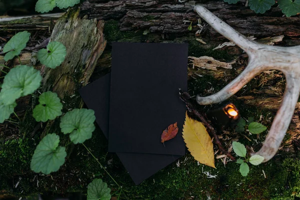Макет черной бумаги, черная свеча на фоне лесной волшебной природы — стоковое фото