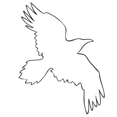 Simge için gerçekçi kuzgun vektör silueti. El çizimi biçimi.