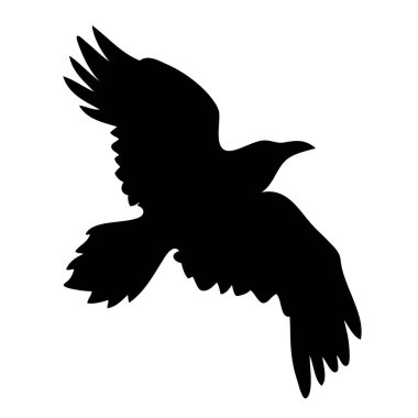Simge için gerçekçi kuzgun vektör silueti. El çizimi biçimi