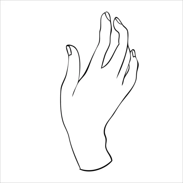 Silhueta linear de uma elegante mão feminina ou bruxa. — Vetor de Stock