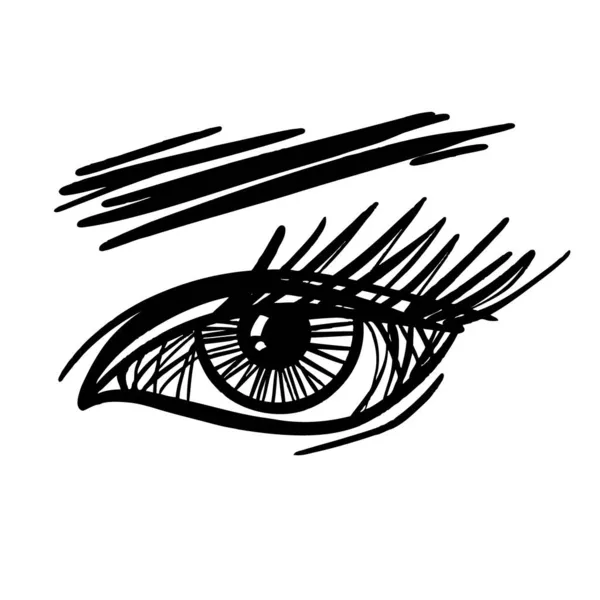 Weibliches Auge mit Wimpern und Augenbrauen, schwarz-weiße Vektorskizze — Stockvektor