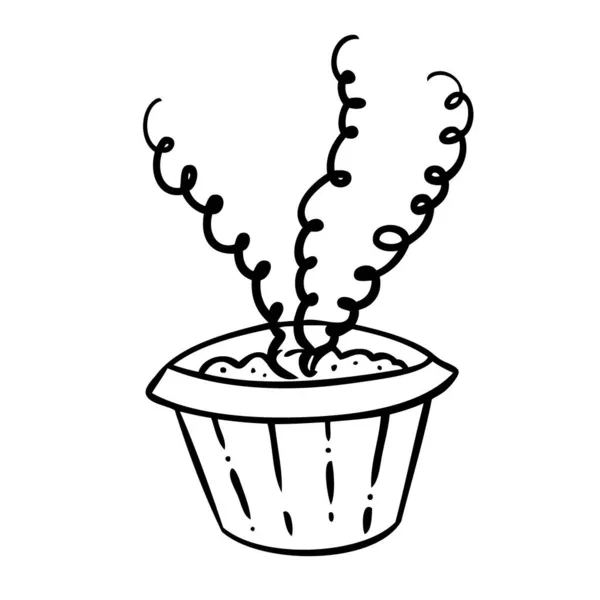 Vektor illusztrációja egy virág a pot és vázlat kézzel húzott — Stock Vector