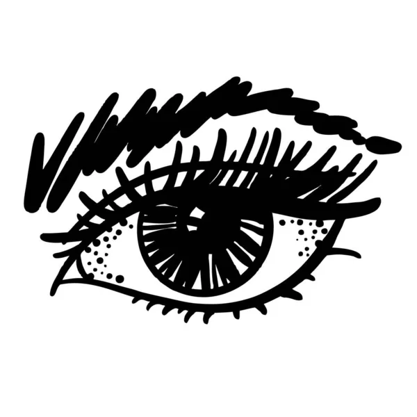 Olho feminino com cílios e sobrancelhas, esboço vetorial preto e branco — Vetor de Stock