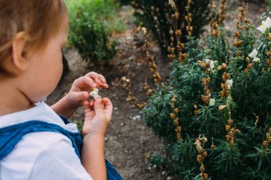 Bahçede yürüyen küçük bir kız. Güzel yeşil güneyli bitkilerin arasında.