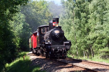 Buhar Treni
