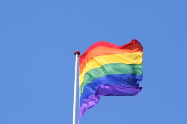 Gökkuşağı bayrağı