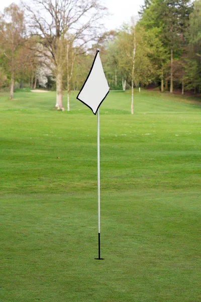 Golfing Stock Picture