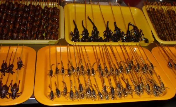 Escorpiões fritos — Fotografia de Stock