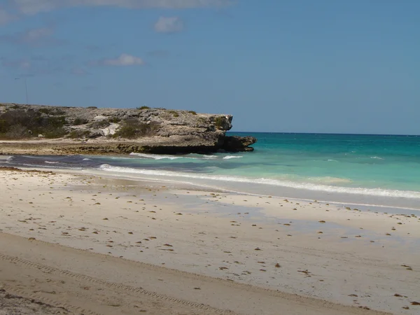 Aruba beach — Stockfoto