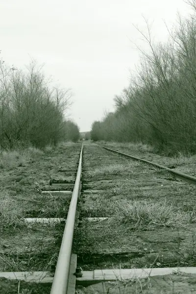 Kırsal yol — Stok fotoğraf