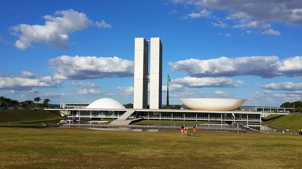 巴西参议院 图库照片