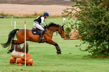 Strzegom Ekim Festivali, Morawa, Polonya - 17 Ekim 2021: Çek yarışmacı Miloslav Prihoda atıyla istasyondan atlıyor. Kürsüde dördüncü sırada..