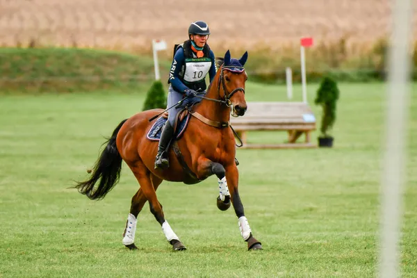 Strzegom October Festival Morawa Polen Oktober 2021 Poolse Concurrent Daria — Stockfoto