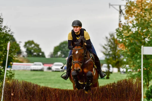 Strezgom October Festival Morawa ポーランド 2021年10月17日 ポーランドの競争相手であるガブリエラ ベザクが馬のクリスタルBで駅をジャンプします 表彰台4位 — ストック写真