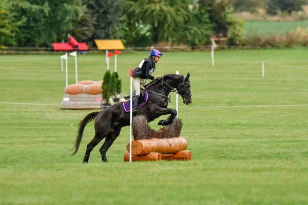 Strzegom Ekim Festivali, Morawa, Polonya - 17 Ekim 2021: Atlı Polonyalı yarışmacı Nadia Stachura yarışma sırasında istasyondan atladı.