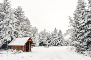 Sudetes 'in Polonya dağlarındaki kış manzarası, dağlık bir patikada karla kaplı bir turist barınağı, bulutlu, sisli bir günde dinlenmek için bir yer..