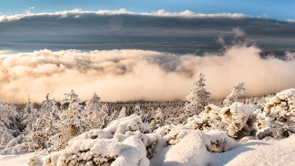 Зимний Пейзаж Польских Горах Судета Низкие Облака Долине Освещенные Заходящим — стоковое фото