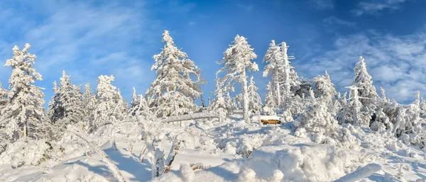 Zimní Krajina Polských Horách Sudet Zasněžený Les Turistické Stezce Horách — Stock fotografie