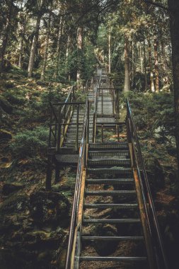 Teplicke Skaly, Çek Cumhuriyeti 'nde bir rock kasabası, bir kum taşı labirentinin içinden geçen eğitici bir yol, kayanın bakış açısına açılan merdivenler..