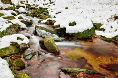 Kışın ormandaki bir dağ nehri, sakin sular nehir yatağı boyunca taşlarla kaplı yeşil yosunlarla akar..