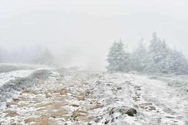 Frosted Stones Way Top Mount Snieznik Hiking Mountain Trail Winter — Stock Photo, Image