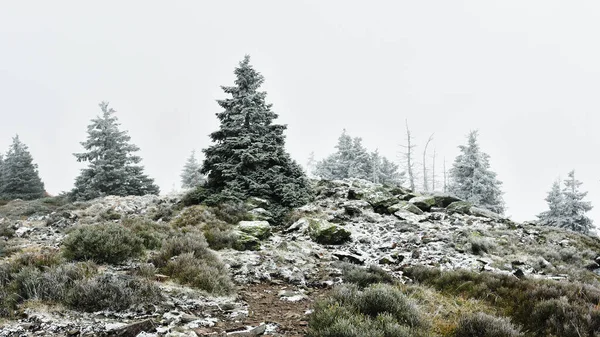 Escalade Rocheuse Sommet Mont Snieznik Sur Sentier Randonnée Paysage Hivernal — Photo