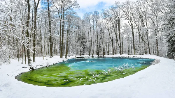 Paesaggio Invernale Laghetto Ghiacciato Nel Bosco Sul Sentiero Escursionistico — Foto Stock