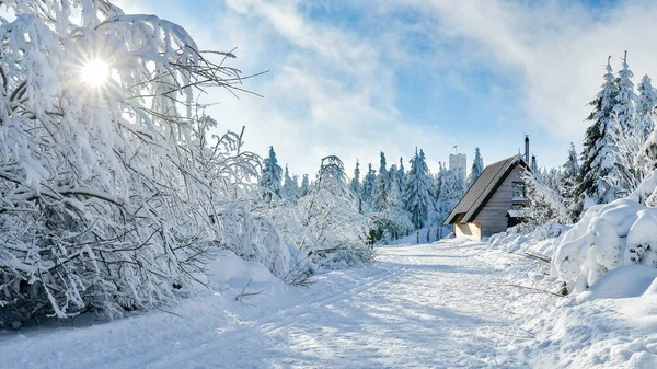 Zimní Krajina Horách Zasněžený Les Místem Odpočinku Horské Turistické Stezce — Stock fotografie