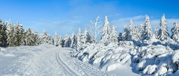 Zimní Krajina Horách Zasněžený Les Horské Turistické Stezce Výhled Slunný — Stock fotografie