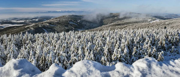 Paisagem Inverno Nas Montanhas Picos Montanha Cobertos Neve Floresta Vista — Fotografia de Stock