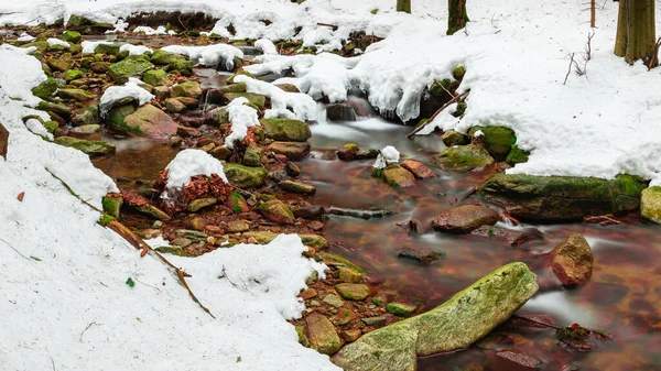 Mountain River Forest Winter Calm Water Flows River Bed Stones — Stock Photo, Image