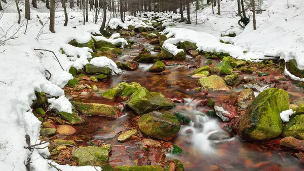 Mountain River Forest Winter Calm Water Flows River Bed Stones — Stock Photo, Image