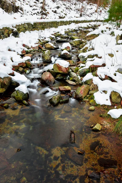 冬の森の中の山の川 緑の苔で覆われた石で川床に沿って穏やかな水が流れます — ストック写真