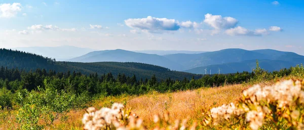 Yüksek Jesenik 'teki dağ manzarası, Dlouhe Strane' in tepesindeki dağ sırasının manzarası, güneşli bir gün..