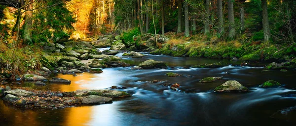 Calm Water Flows Rocky Bed Mountain River Rocks Covered Moss — Photo