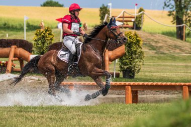 Strzegom Horse Trials, Morawa, Poland - June, 25, 2022: Austrian Harald Ambros on horse Lexikon 2, on the Cross Country route during the competition.