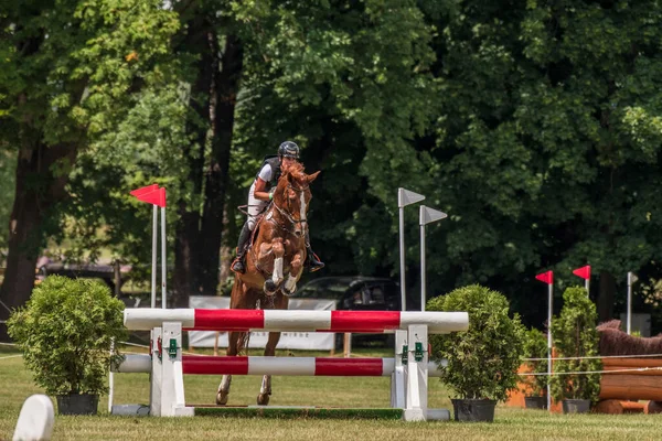 Strzegom Horse Trials Morawa Poland June 2022 Dutch Merel Blom — Zdjęcie stockowe