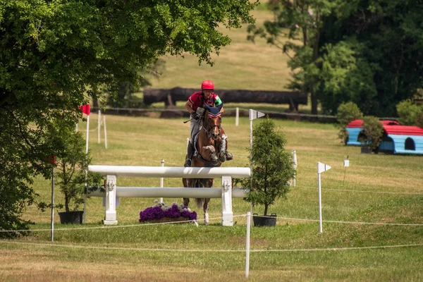 Strzegom Horse Trials Morawa Poland June 2022 Austrian Harald Ambros — Stockfoto