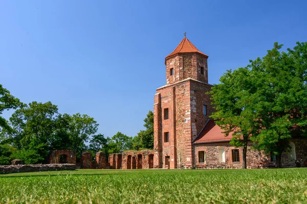 Castle Toszek Brick Castle 15Th Century Partially Reconstructed View Green — Stockfoto