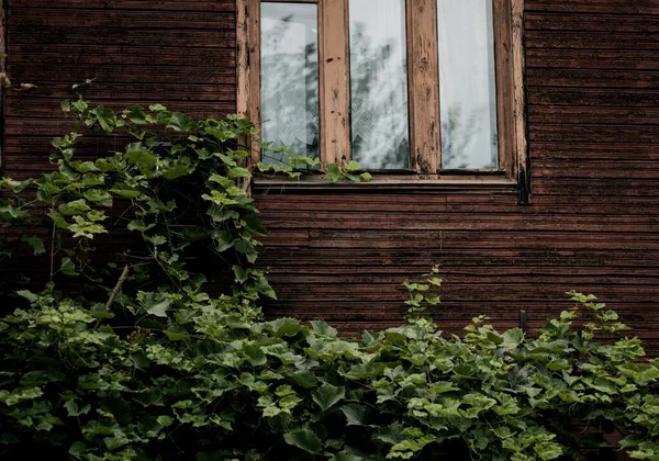 old European building with a wooden window and grapes on the facade