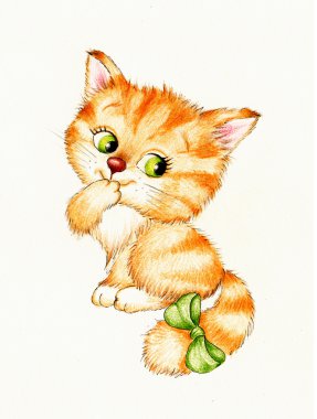 şirin kedi yavrusu