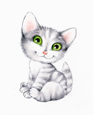 sevimli kedi yavrusu